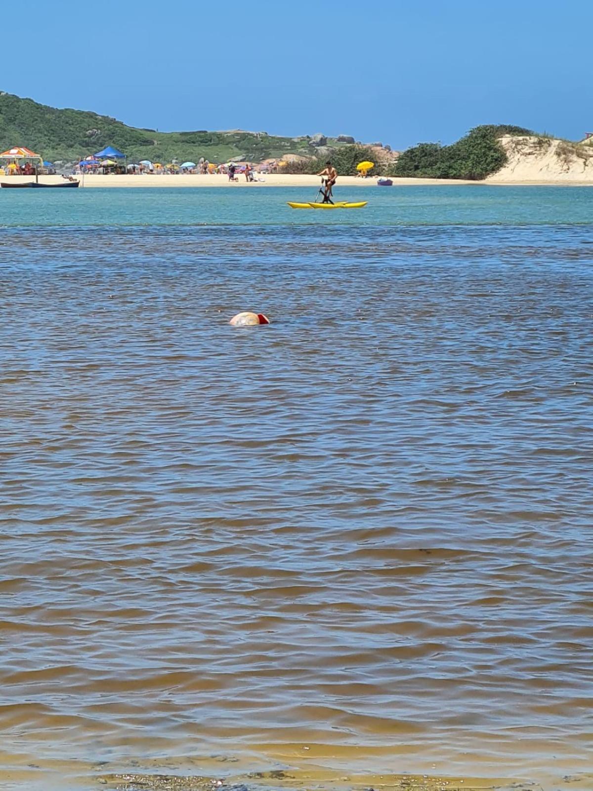Encontro Das Aguas Guarda do Embau Luaran gambar